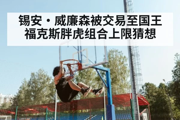 锡安·威廉森被交易至国王 福克斯胖虎组合上限猜想